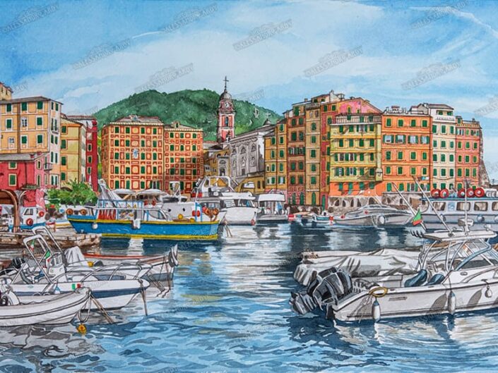 alessandro ardy illustrazioni porticciolo camogli